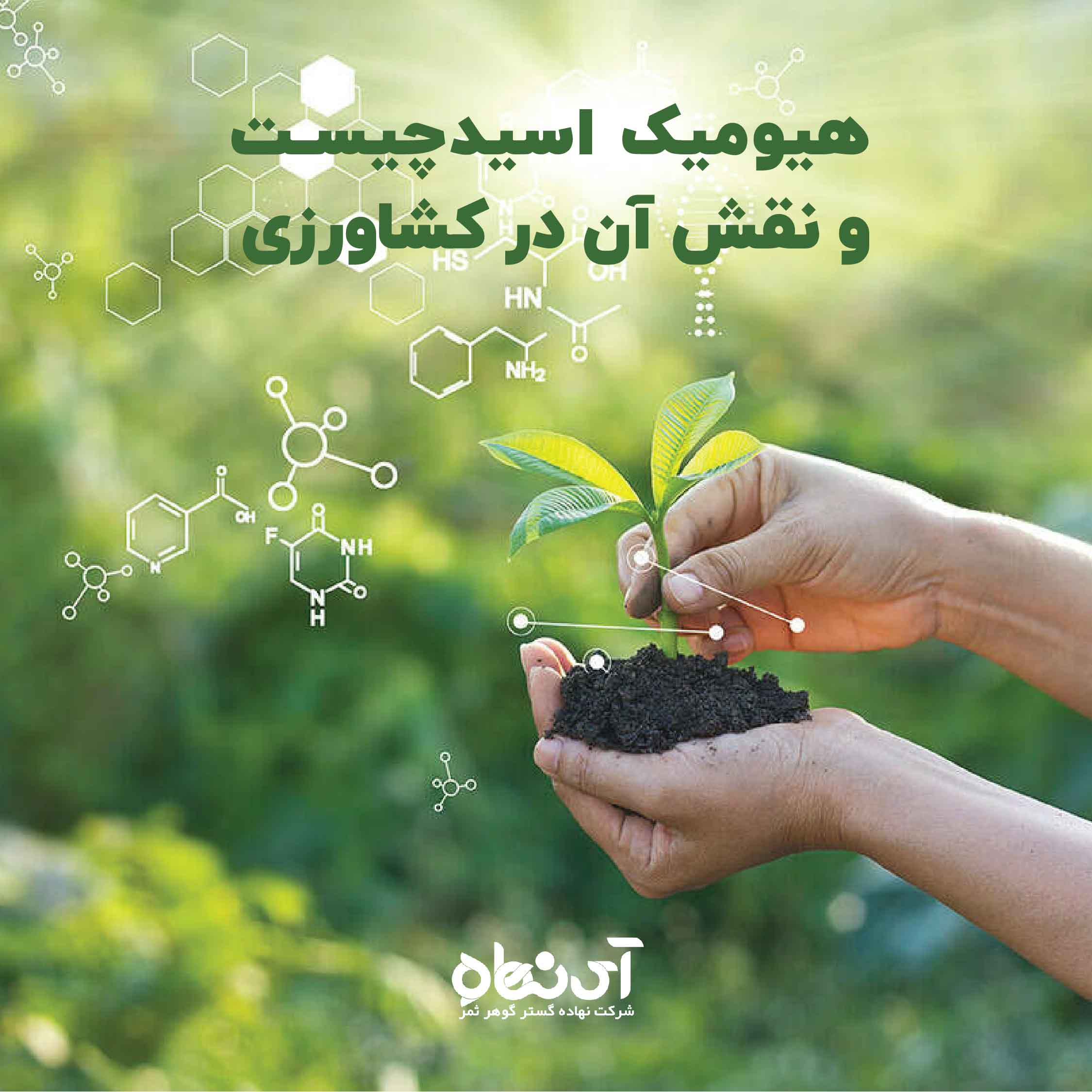 هیومیک اسید چیست و نقش آن در کشاورزی